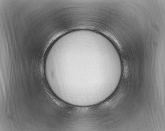 X0000116290882200911300950