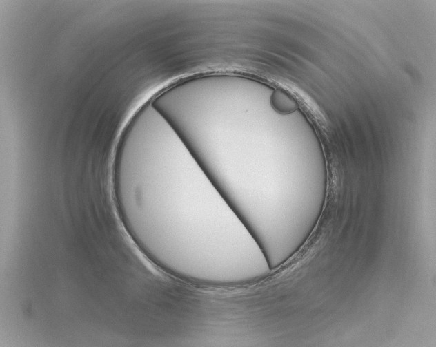 X0000116290894200911300950