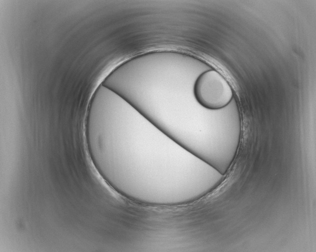 X0000116290906200911300950