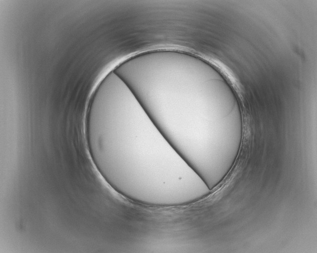 X0000116290910200911300950
