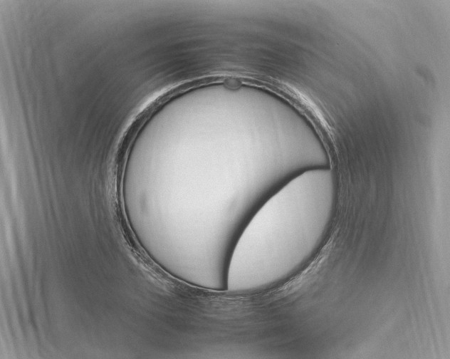 X0000116290931200911300950