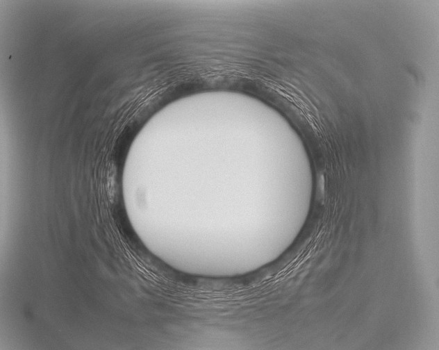 X0000116290963200911300949