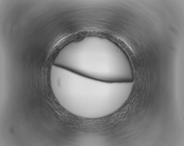 X0000116290968200911300949