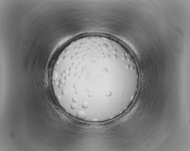 X0000116290974200911300949