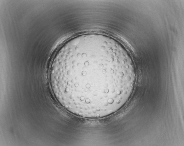 X0000116290978200911300949