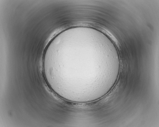 X0000116290994200911300949