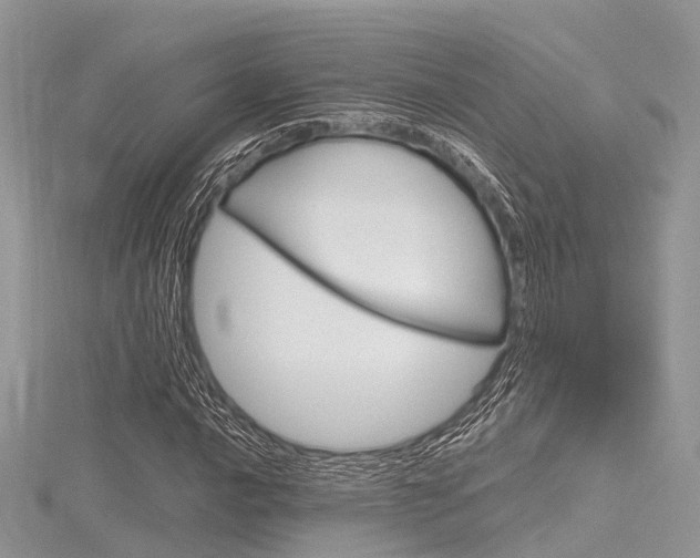X0000116291016200911300948