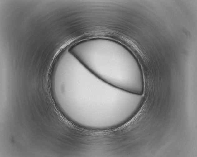X0000116291018200911300948