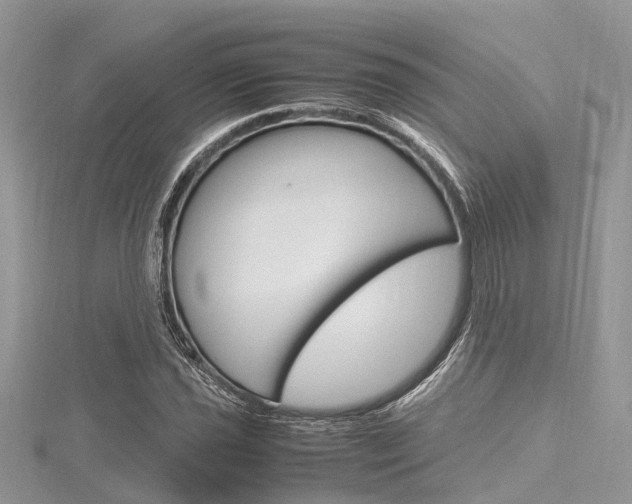X0000116291021200911300948