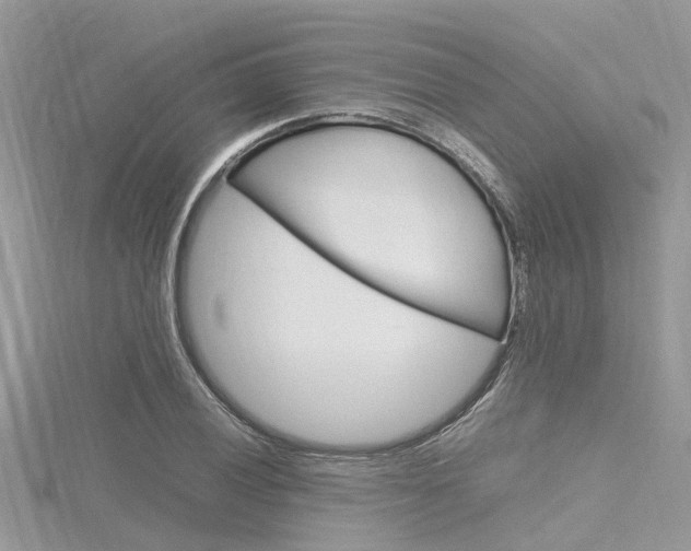X0000116291028200911300948