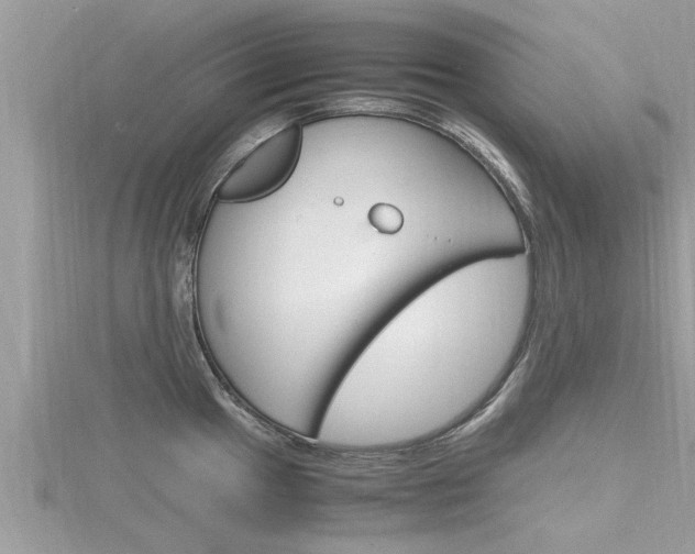 X0000116291049200911300949