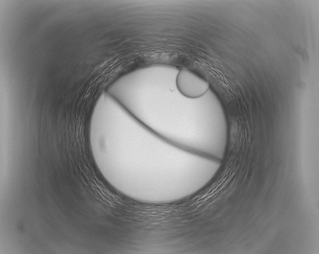X0000116291058200911300948