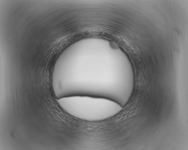 X0000116291062200911300948