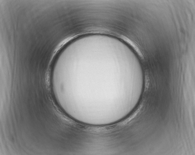 X0000116291074200911300948