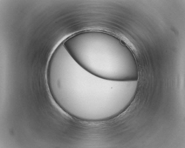 X0000116291084200911300948
