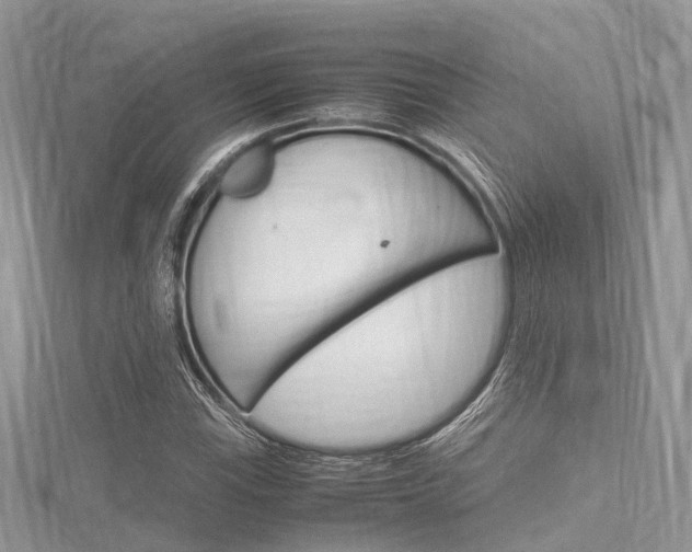 X0000116291115200911300947