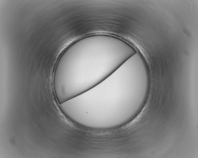 X0000116291129200911300947