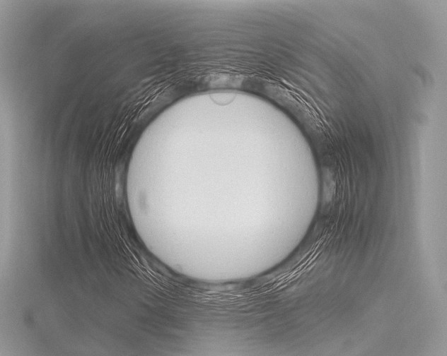 X0000116291154200911300947