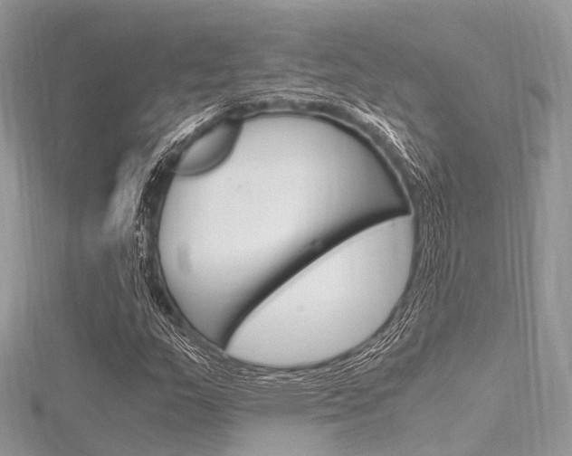X0000116291159200911300947