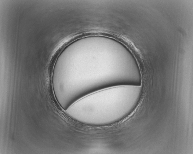 X0000116291167200911300946