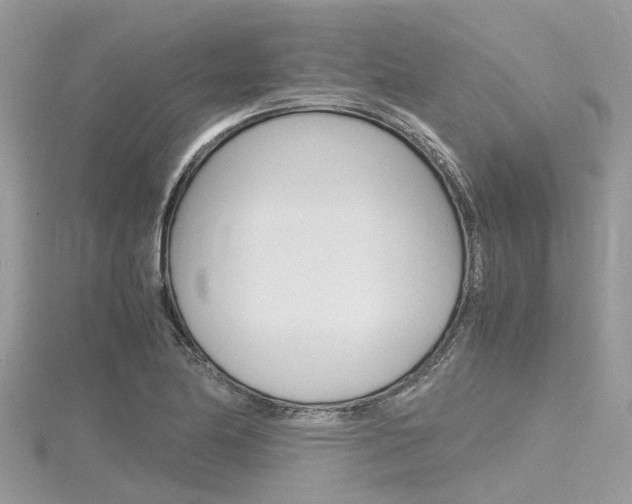 X0000116291174200911300946