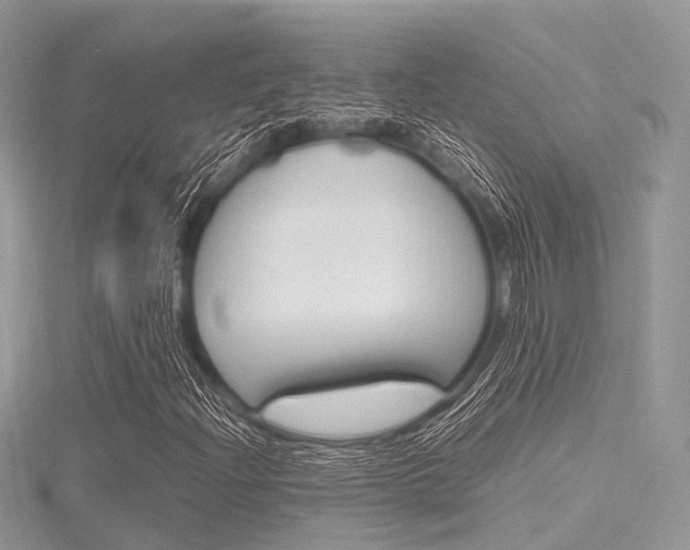 X0000116291204200911300945