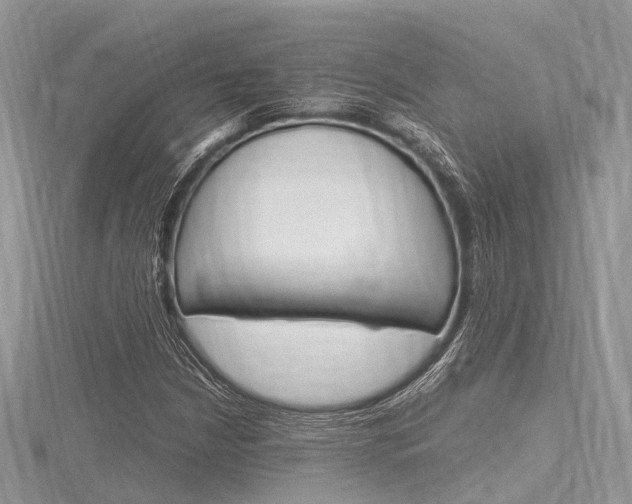 X0000116291210200911300946