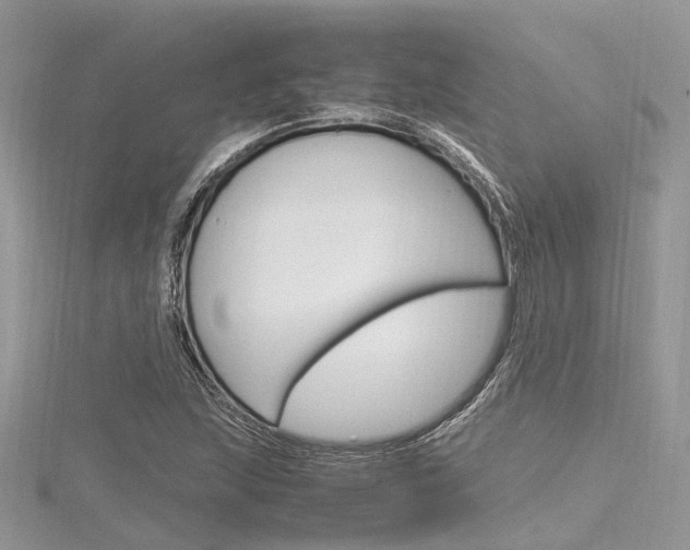 X0000116291215200911300946