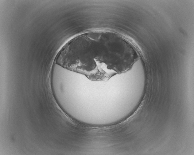 X0000116291228200911300946