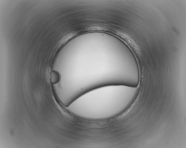 X0000116291233200911300946