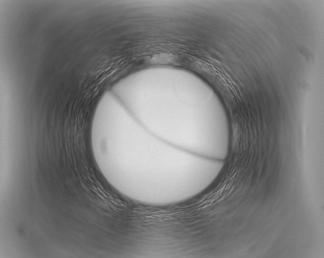 X0000116291250200911300945