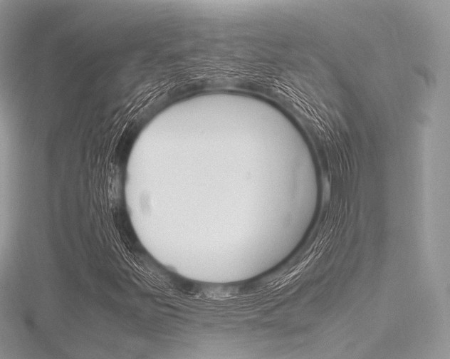 X0000116291251200911300945