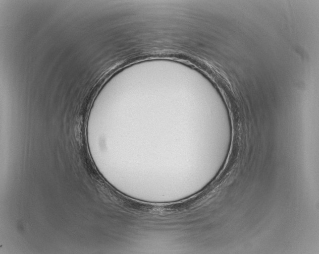 X0000116291265200911300945