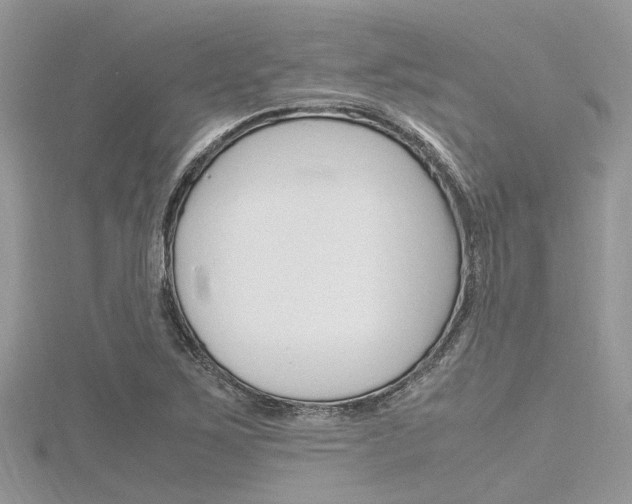 X0000116291267200911300945