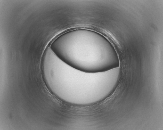 X0000116291268200911300945
