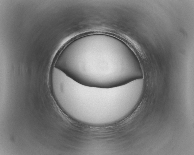 X0000116291272200911300945
