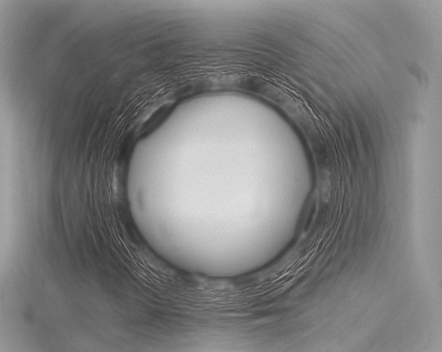X0000116291298200911300944