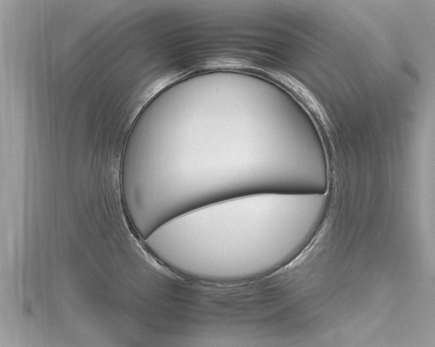 X0000116291337200911300944
