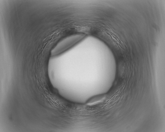 X0000116291345200911300944
