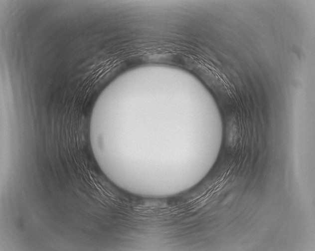 X0000116291346200911300944