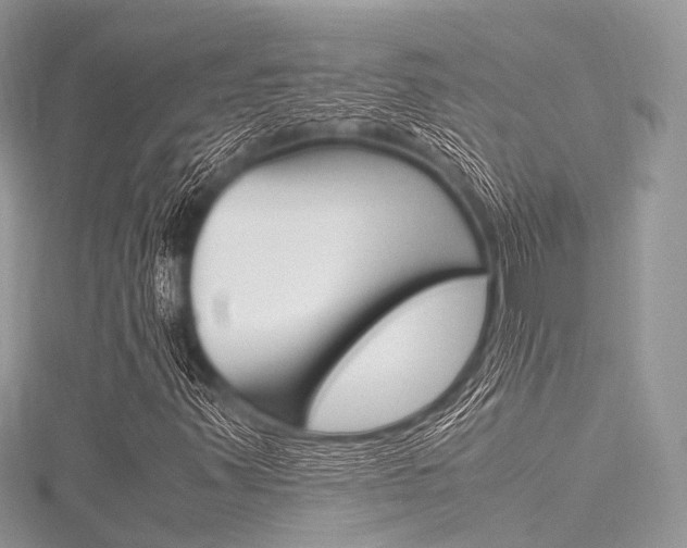 X0000116291347200911300944