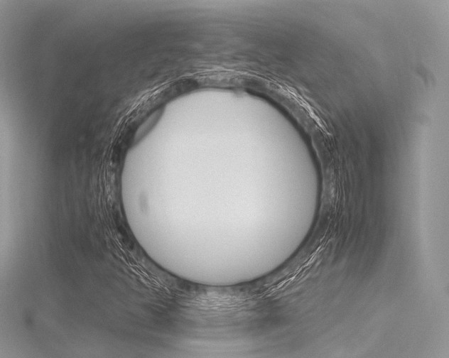 X0000116291350200911300944