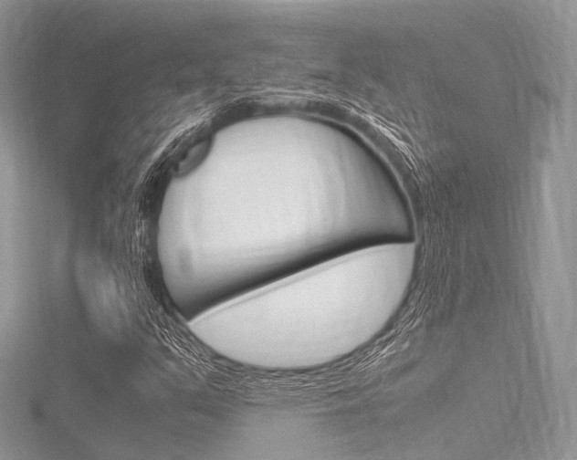 X0000116291351200911300944
