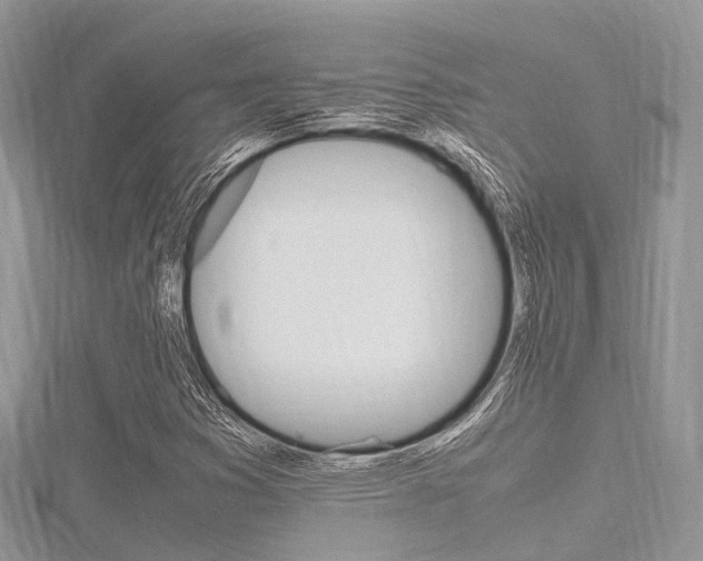 X0000116291353200911300944