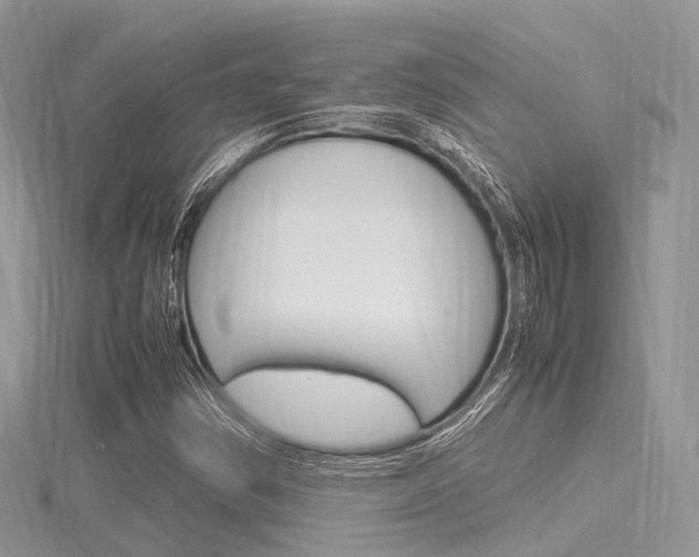 X0000116291354200911300944