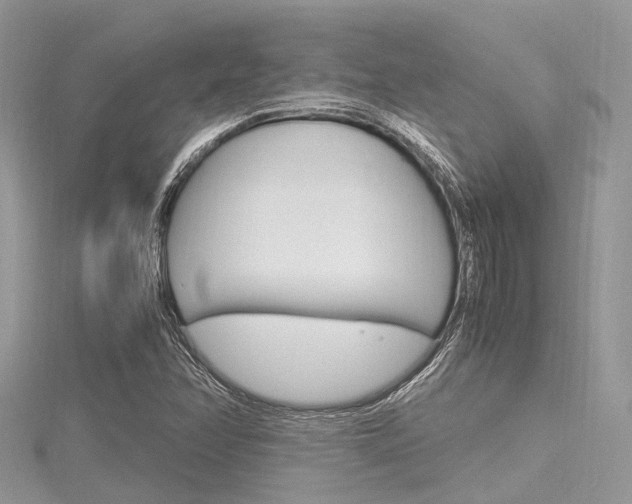 X0000116291358200911300944