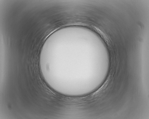 X0000116291361200911300944