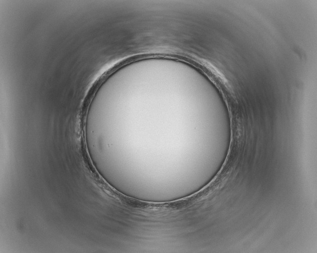 X0000116291364200911300944