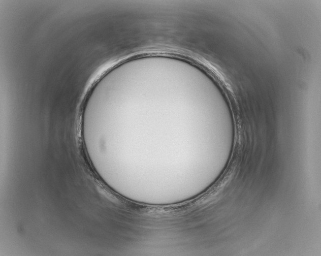 X0000116291366200911300944