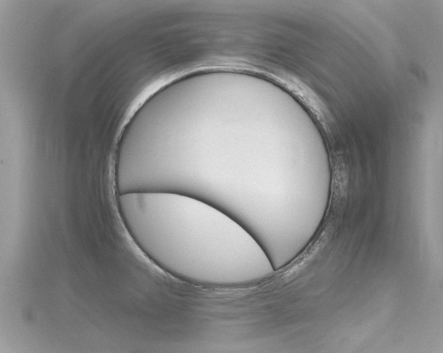 X0000116291382200911300943